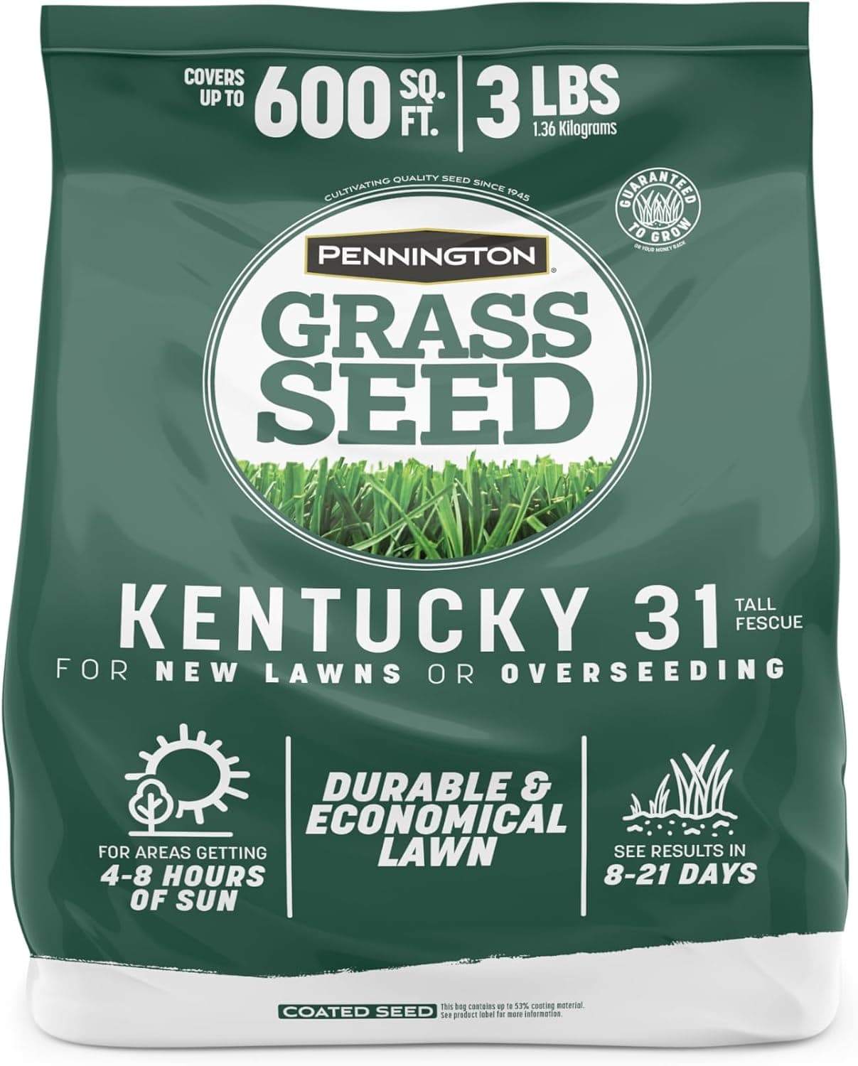 Pennington Kentucky 31 Tall Fescue Penkoted Grass Seed 3 lb